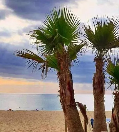 Cyprien Sud Mediterranee